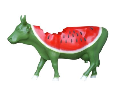 Watermelon Cow 西瓜牛