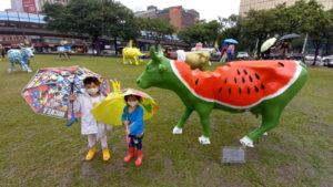 華山文創園區草原快閃