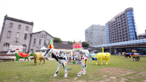 華山文創園區草原快閃