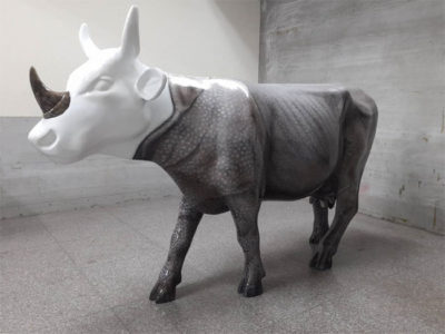 Rhino`s Hope 犀望之牛