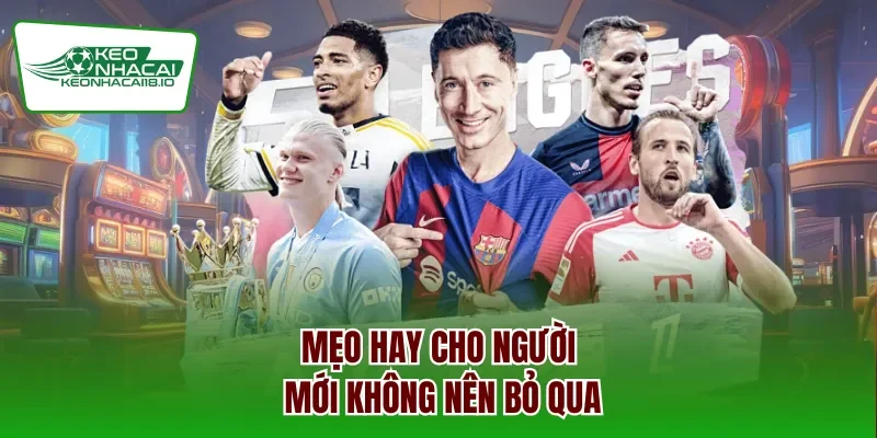 Mẹo hay cho người mới không nên bỏ qua